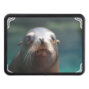AF-S2SC Sea Lion in Ice Water Single Leather Photo Coaster Animal Breed Gift 