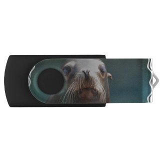 Sea Lion with Whiskers USB Flash Drive