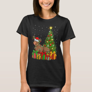 Sea Lion   Xmas Holiday Santa Sea Lion Christmas T T-Shirt