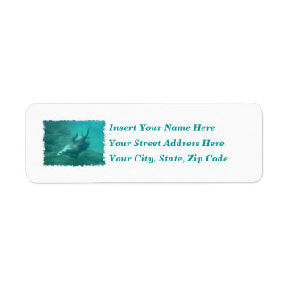 Sea Lions Customizable Labels 2
