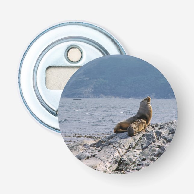 Sea lions in beagle channel - Argentina Bottle Opener (Front)