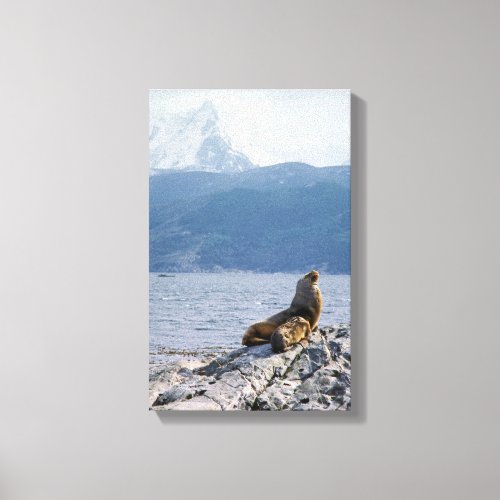 Sea lions in beagle channel _ Argentina Canvas Print