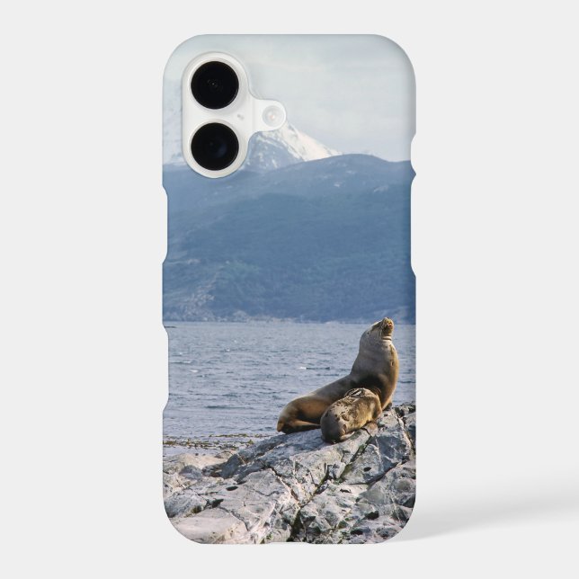 Sea lions in beagle channel - Argentina Case-Mate iPhone Case (Back)