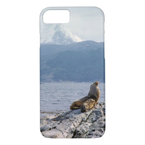 Sea lions in beagle channel _ Argentina iPhone 87 Case
