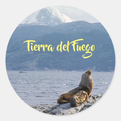 Sea lions in beagle channel _ Argentina Classic Round Sticker