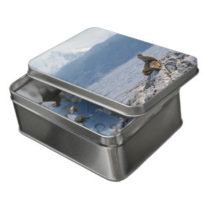 Sea lions in beagle channel - Argentina Jigsaw Puzzle