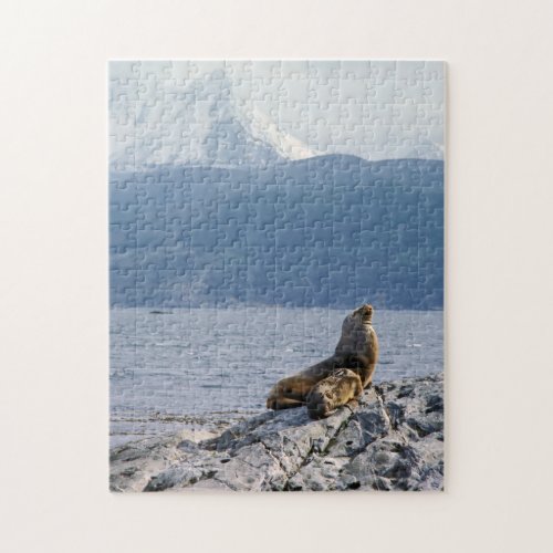 Sea lions in beagle channel _ Argentina Jigsaw Puzzle