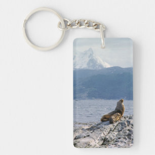 Sea lions in beagle channel - Argentina Keychain