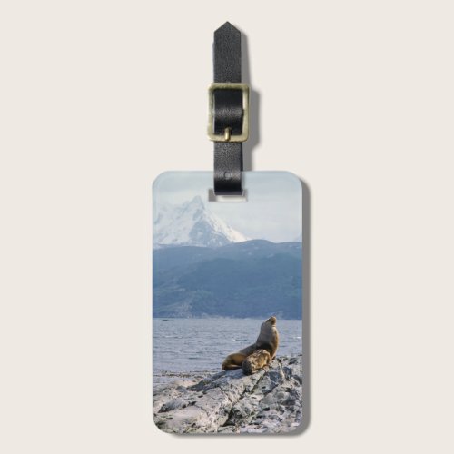 Sea lions in beagle channel - Argentina Luggage Tag