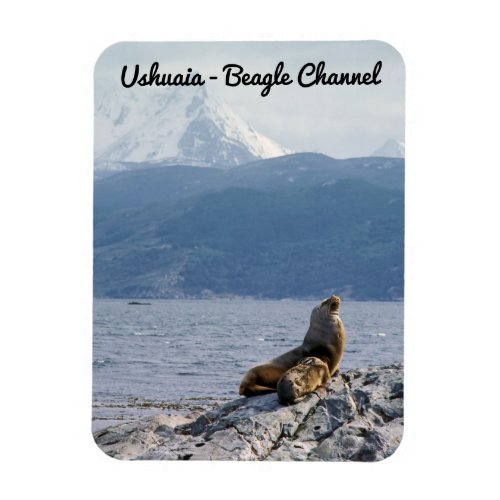 Sea lions in beagle channel _ Argentina Magnet