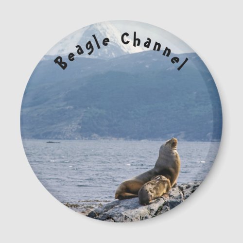 Sea lions in beagle channel _ Argentina Magnet