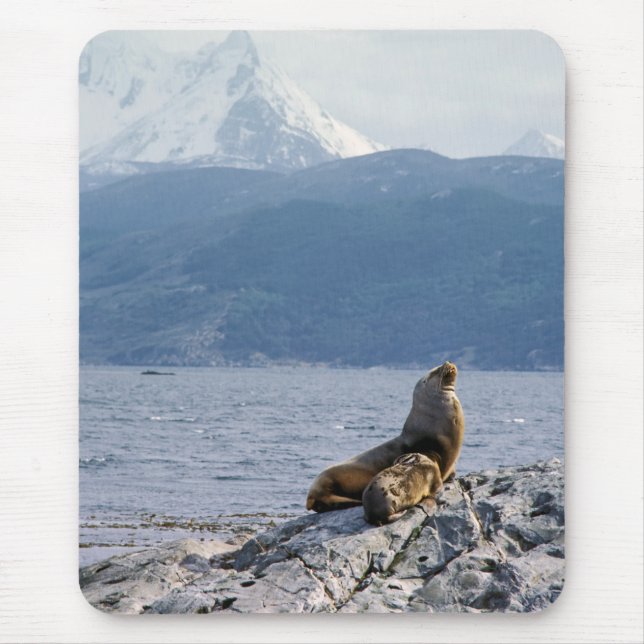 Sea lions in beagle channel - Argentina Mouse Pad (Front)