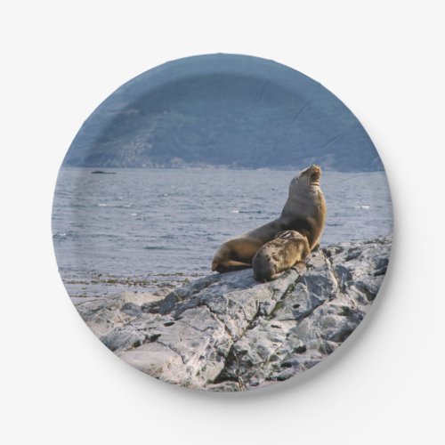 Sea lions in beagle channel _ Argentina Paper Plates