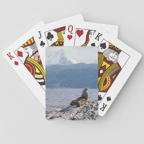 Sea lions in beagle channel _ Argentina Poker Cards