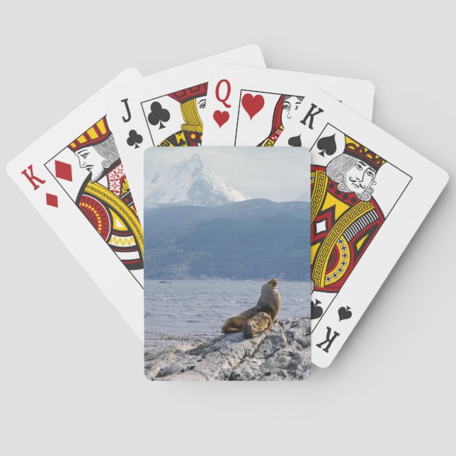 Sea lions in beagle channel - Argentina Poker Cards (Back)