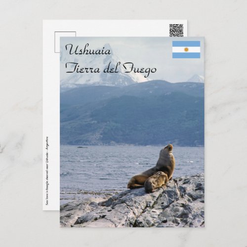 Sea lions in beagle channel _ Argentina Postcard