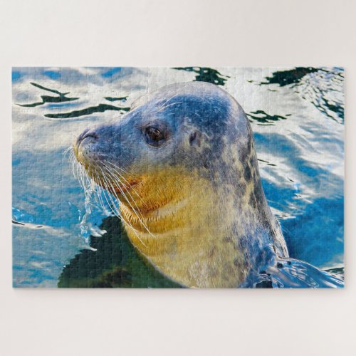 Sea Lions Jigsaw Puzzle