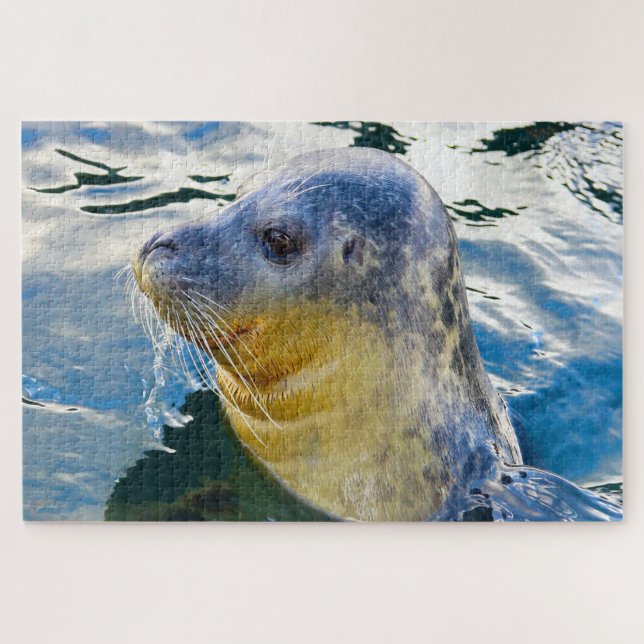 Sea Lions Jigsaw Puzzle (Horizontal)