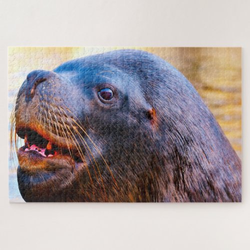 Sea Lions Jigsaw Puzzle