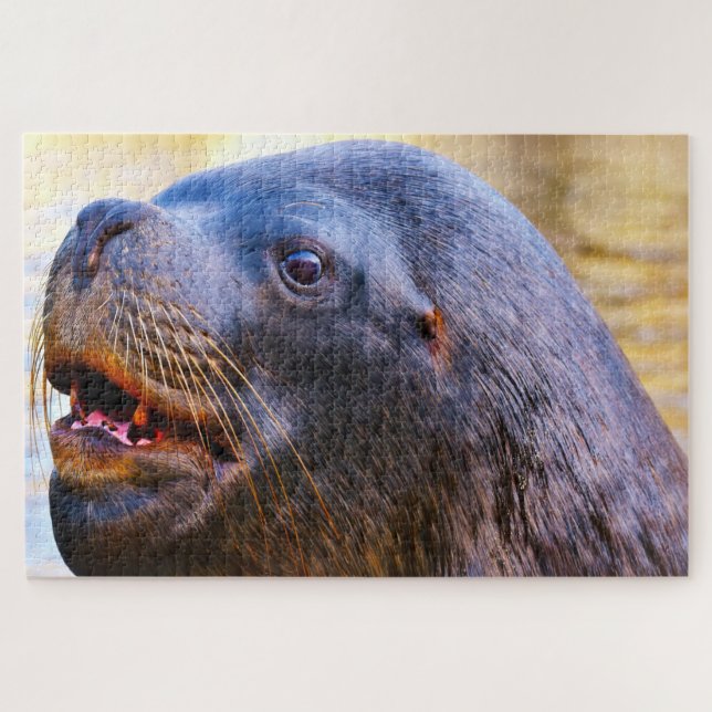 Sea Lions Jigsaw Puzzle (Horizontal)