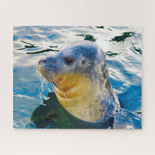 Sea Lions Jigsaw Puzzle