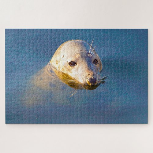 Sea Lions Jigsaw Puzzle