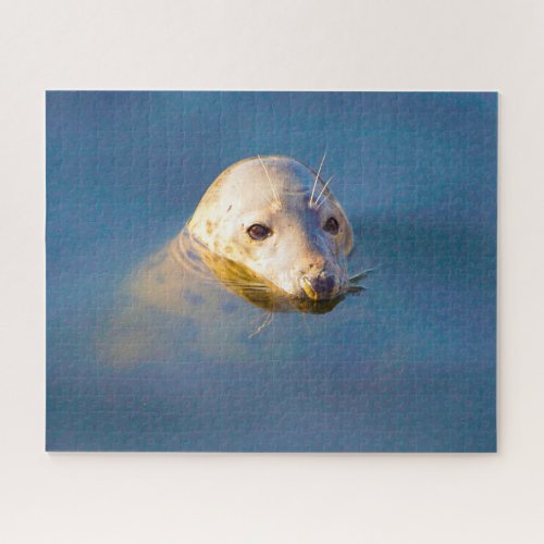 Sea Lions Jigsaw Puzzle