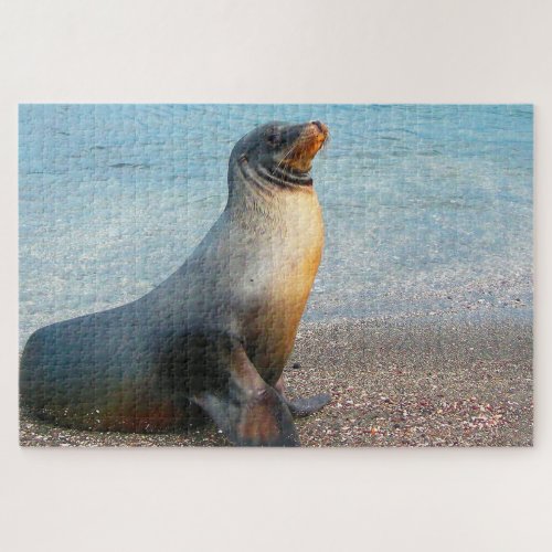 Sea Lions Jigsaw Puzzle