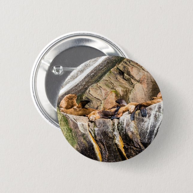 Sea Lions Laying On The Rocks Button (Front & Back)