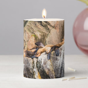 Sea Lions Laying On The Rocks Pillar Candle