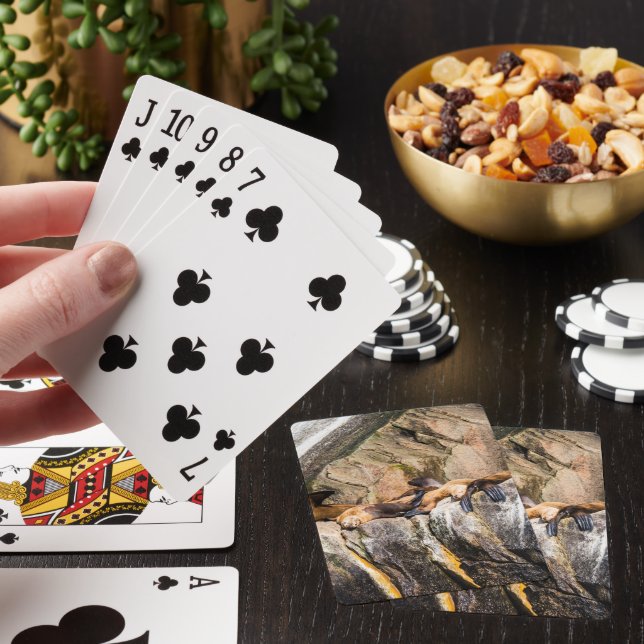 Sea Lions Laying On The Rocks Poker Cards (In Situ)