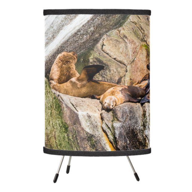 Sea Lions Laying On The Rocks Tripod Lamp (Left)
