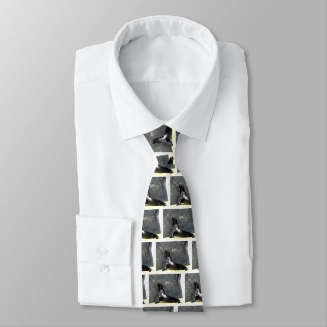 Sea Lions Neck Tie (Tied)