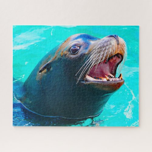 Sea Lions of our seas Jigsaw Puzzle