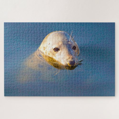 Sea Lions of our seas Jigsaw Puzzle
