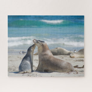 Sea lions on the beach in Australia, 520 pieces Jigsaw Puzzle