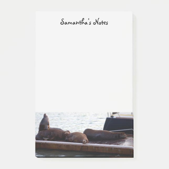 Sea Lions Post-It Notes (Front)