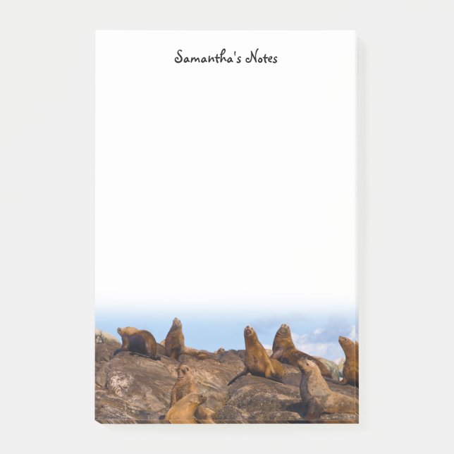 Sea Lions Post-It Notes (Front)
