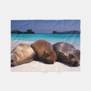 Sea Lions Sleeping On Beach Ecuador Fleece Blanket
