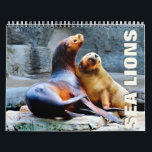 Sea Lions Wall Calendar<br><div class="desc">Beautiful photo collection of sea lions. Great gift for family or friends.</div>
