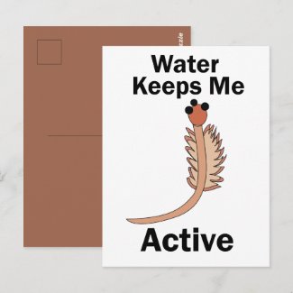 Sea Monkeys Brine Shrimp Water Keeps Me Active  Postcard