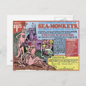 Sea Monkeys Post Card (Front/Back)