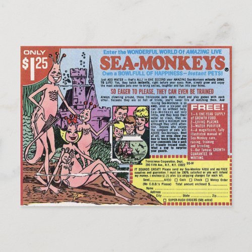 Sea Monkeys Post Card