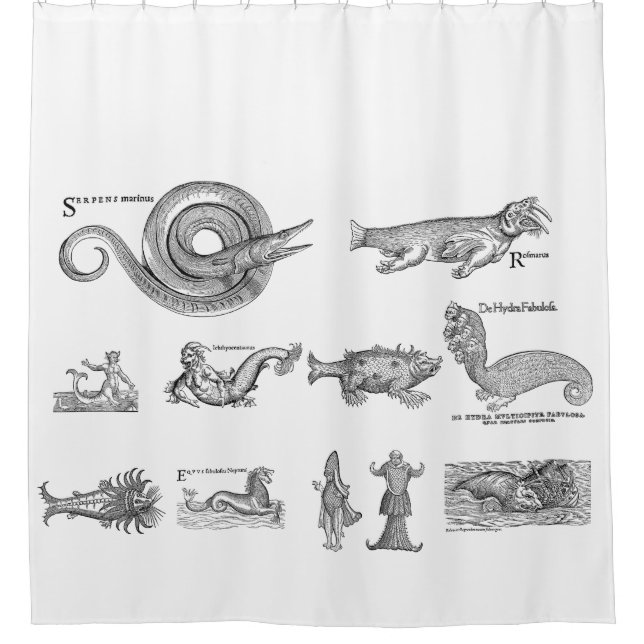 Sea monsters shower curtain (Front)
