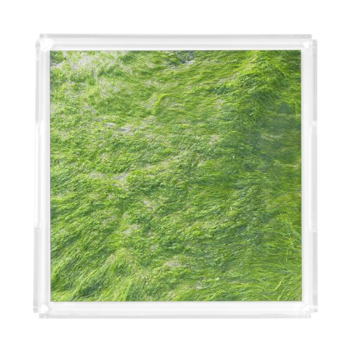 Sea Moss Green Nature Grass Beach Nautical Acrylic Tray