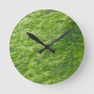 Sea Moss Green Nature Grass Beach Nautical Round Clock
