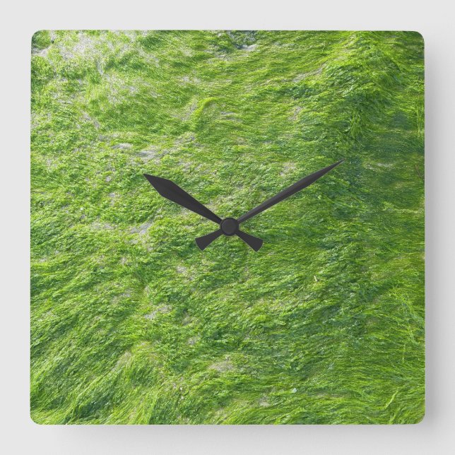 Sea Moss Green Nature Grass Beach Nautical Square Wall Clock (Front)
