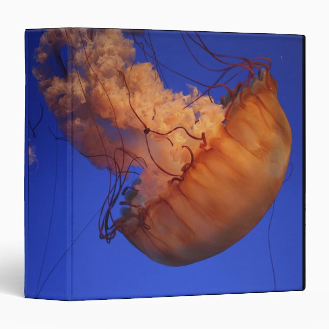 Sea nettle jellyfish binder (Front/Spine)
