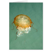 Sea Nettle Jellyfish Frameable Art Card (Front)