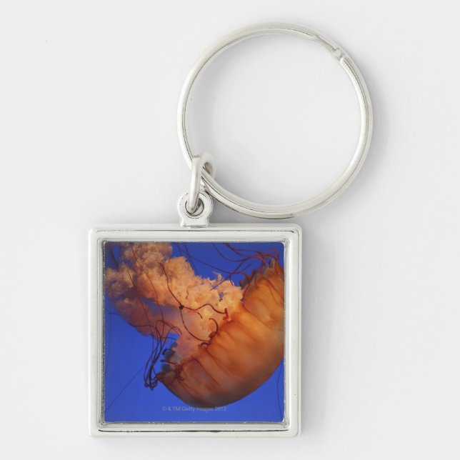 Sea nettle jellyfish keychain (Front)
